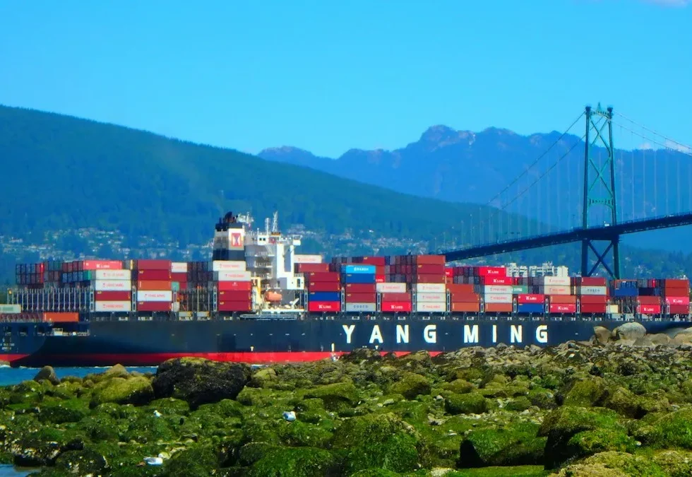 Tàu container của hãng tàu