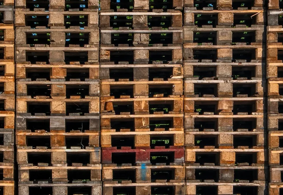 Pallet và thùng hàng trong kho